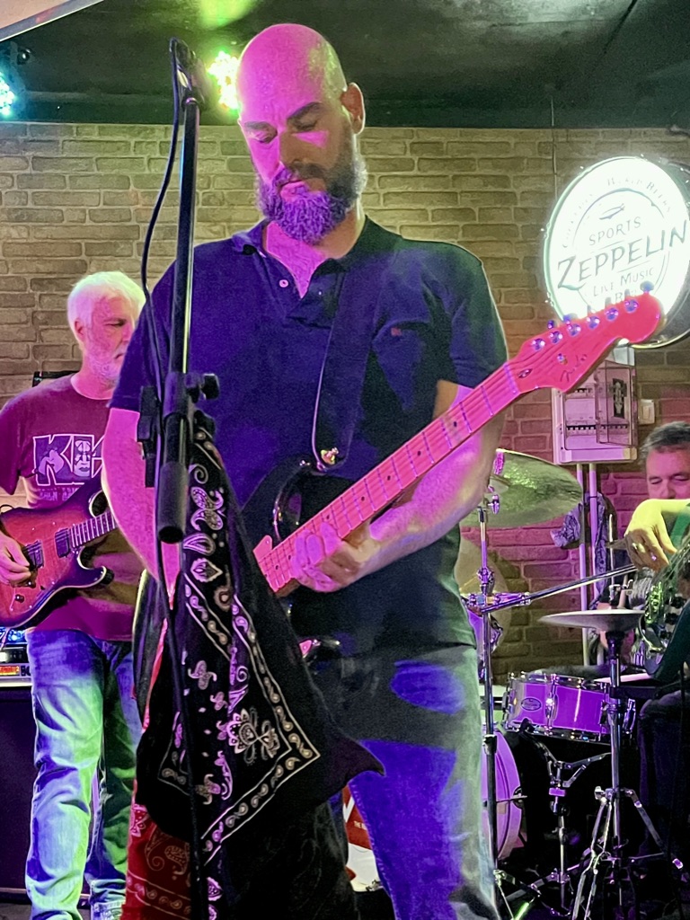 THE REEDS guitarist live